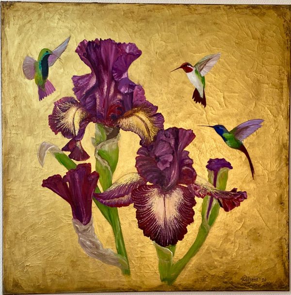 Irisblüte mit Kolibri Lilarot