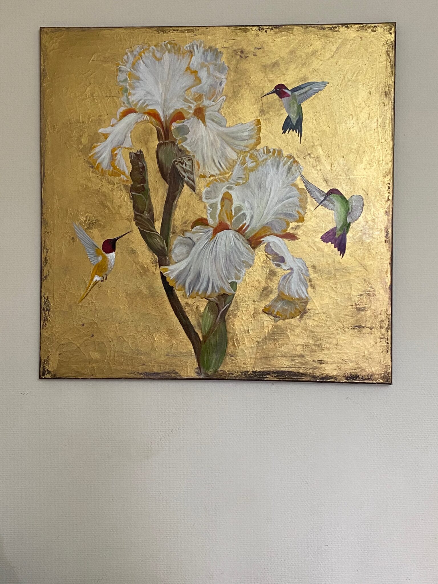 Kolibri und die Irisblüte Weiß