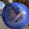 coconut bowl  50-60cm